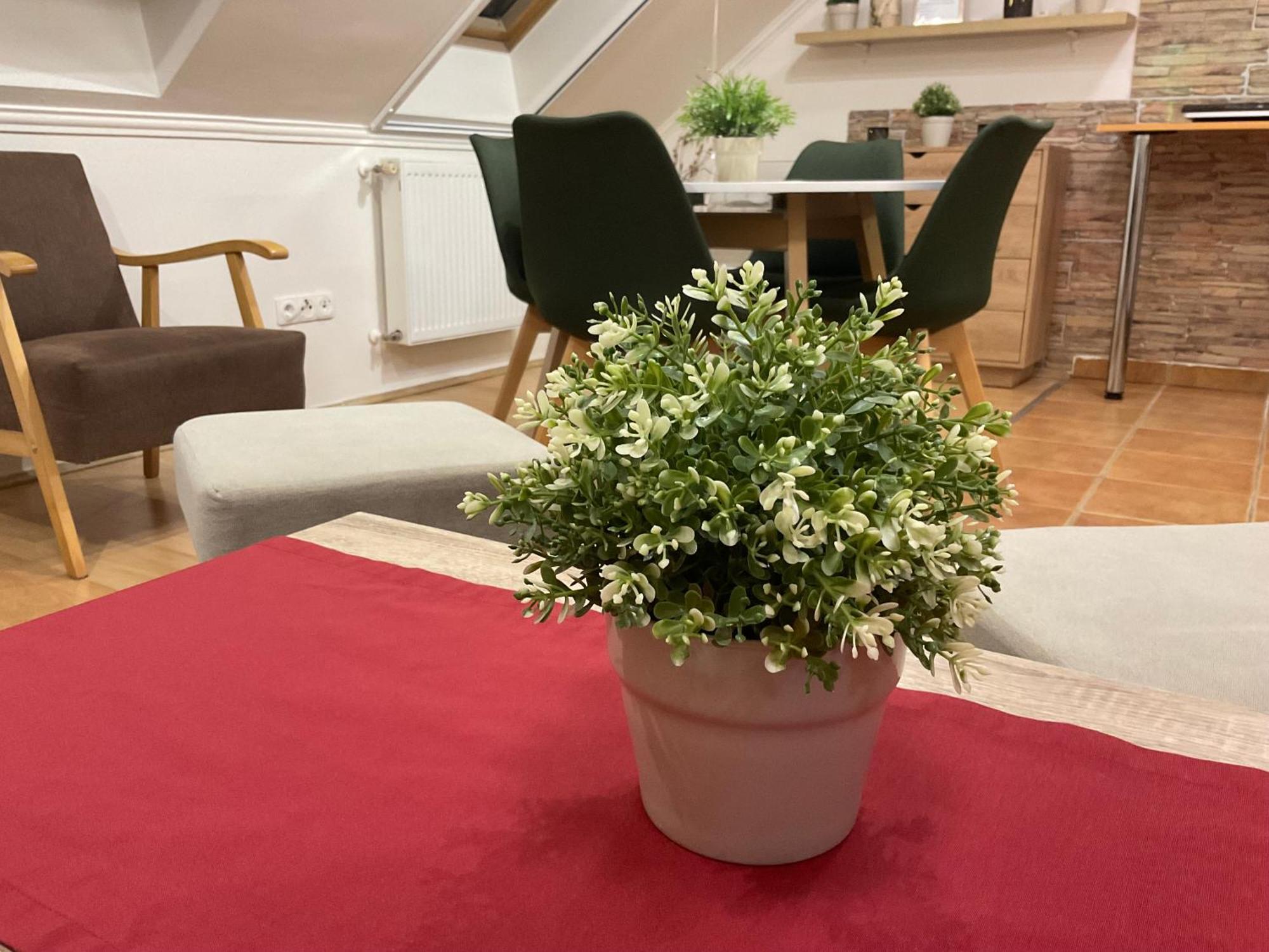 Hajdúszoboszló Sport Apartman מראה חיצוני תמונה